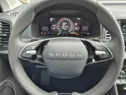 Skoda Karoq - photo 18