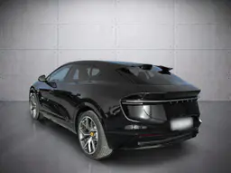 Lotus Eletre - photo 7