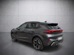 Cupra Terramar - photo 7
